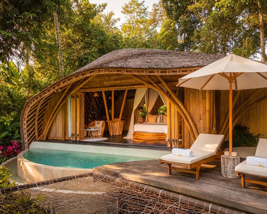 bamboo-property-2