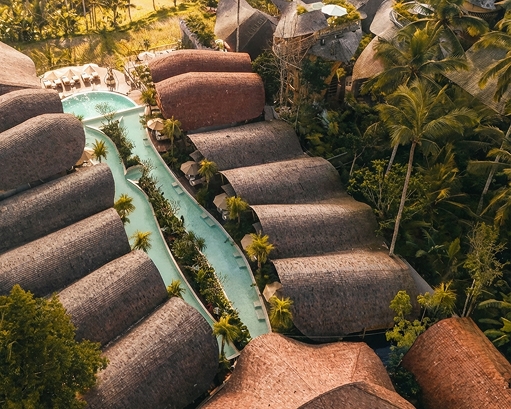 bamboo-property