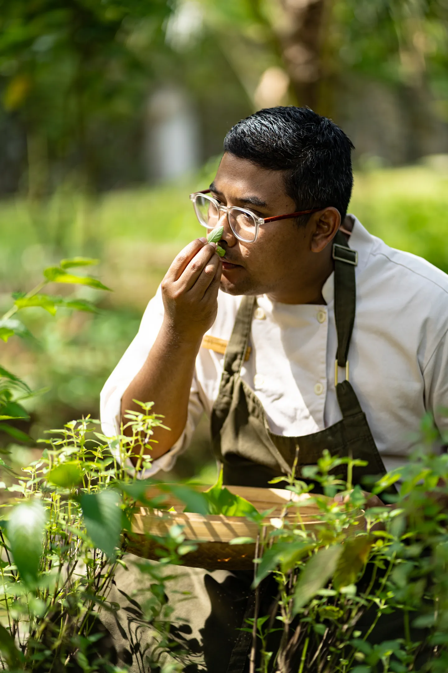 chef garden