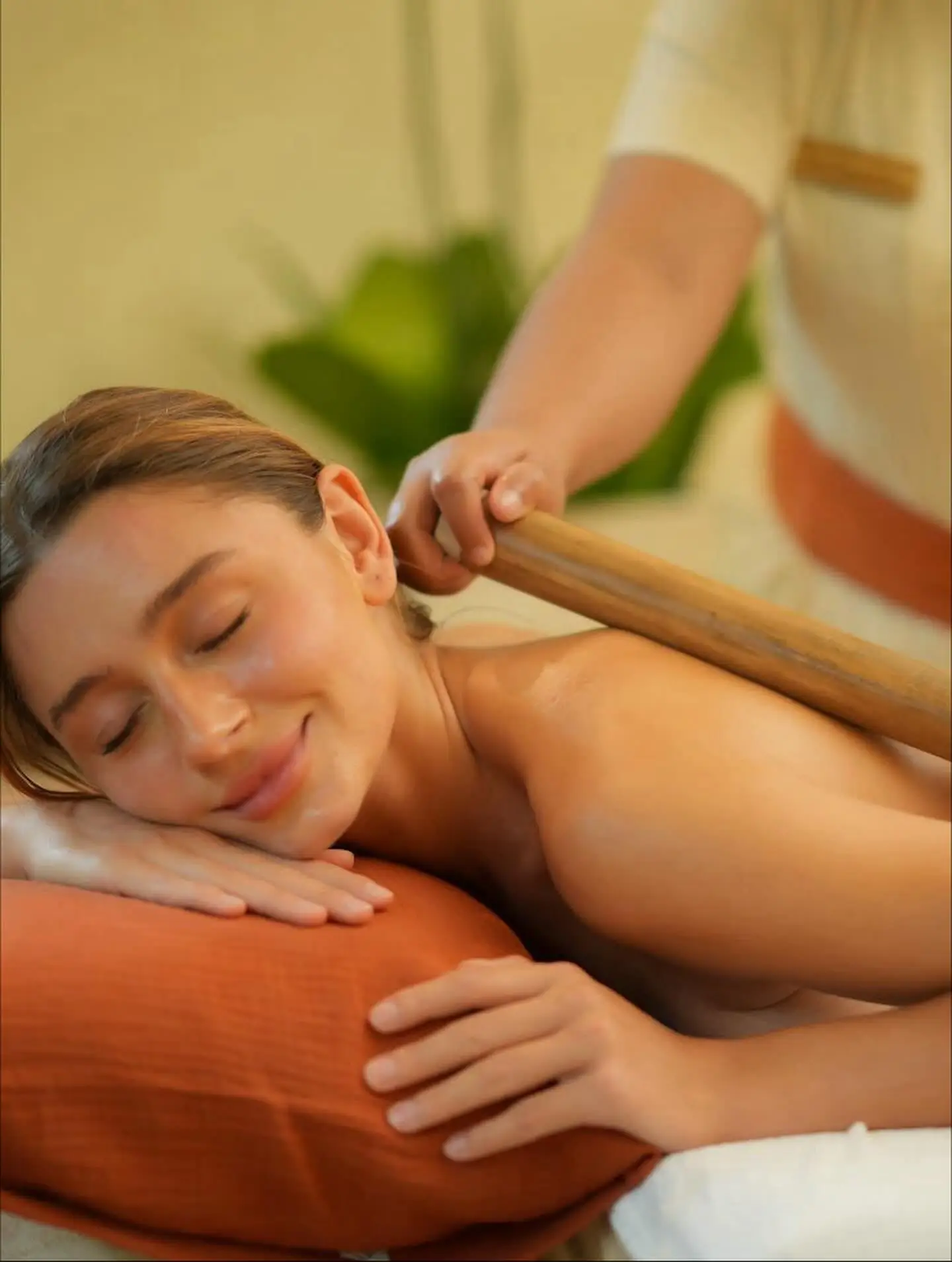 Embung Spa small