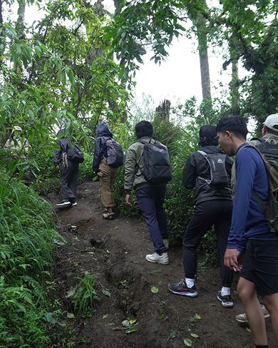 bamboo-sustain-hiking