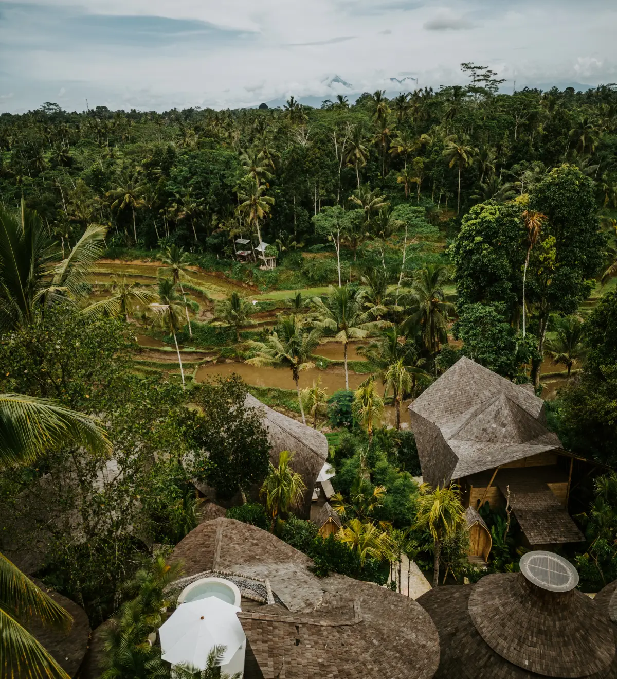 Bali image-15
