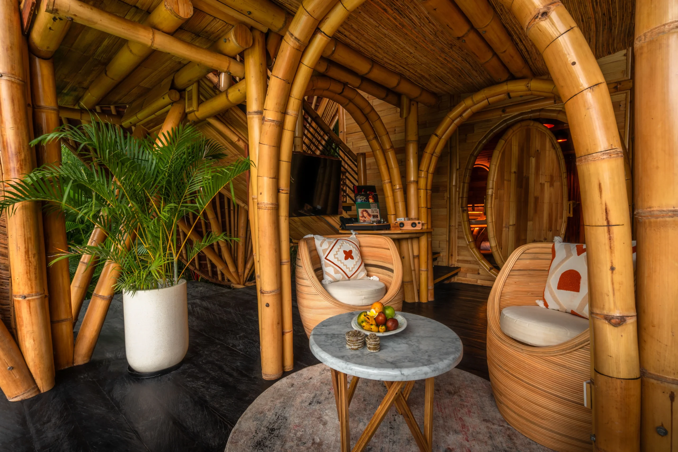 bamboo living